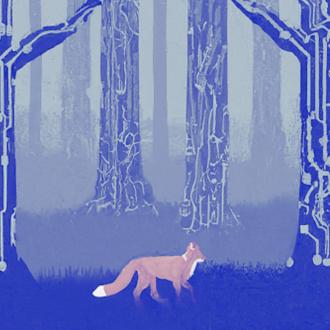 Blue Team Resources · Jenna Fox